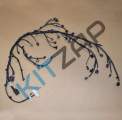 ���� �������� ��������� ������