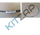 ���� ����� ������